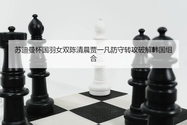 su-di-man-bei-guo-yu-nv-shuang-chen-qing-chen-jia-yi-fan-fang-shou-zhuan-gong-po-jie-han-guo-zu-he-2-591.jpg
